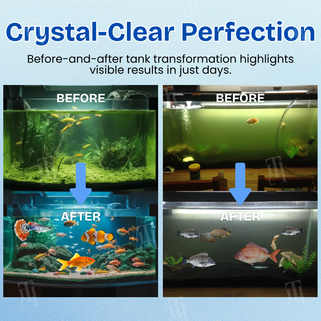 🌊AEXZR® Aquariums Aqua-Guardian Blend🌿-Professional Bio-Tech for Clear Aquariums 🐠