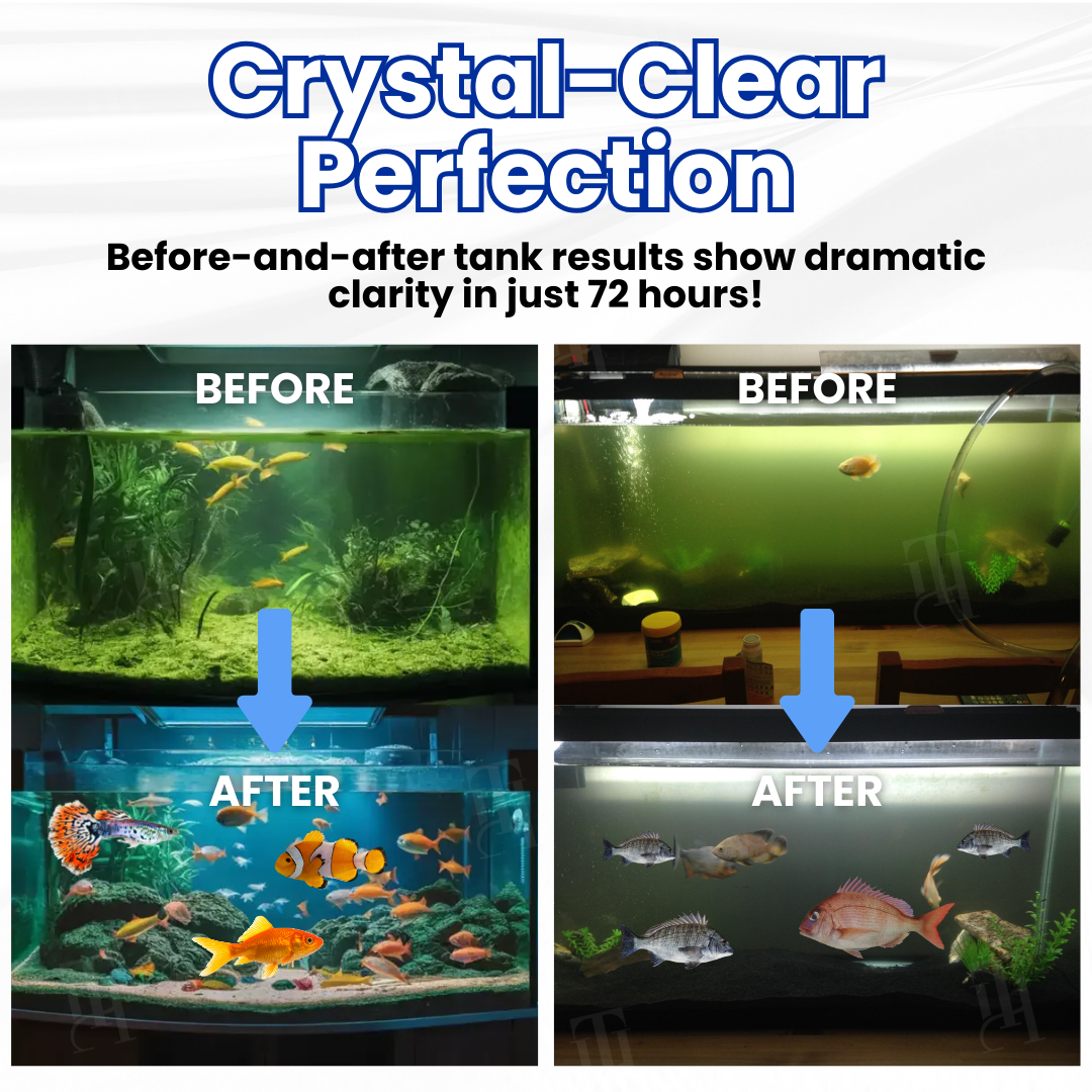 🐟AEXZR® Max-Power Aquarium Purification Tablet – ✨Creates Self-Cleaning Ecosystem✅