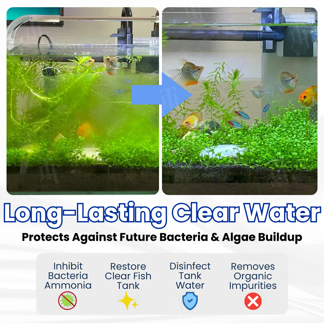 🐟AEXZR® Max-Power Aquarium Purification Tablet – ✨Creates Self-Cleaning Ecosystem✅