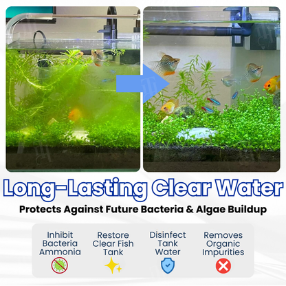 🐟AEXZR® Max-Power Aquarium Purification Tablet – ✨Creates Self-Cleaning Ecosystem✅