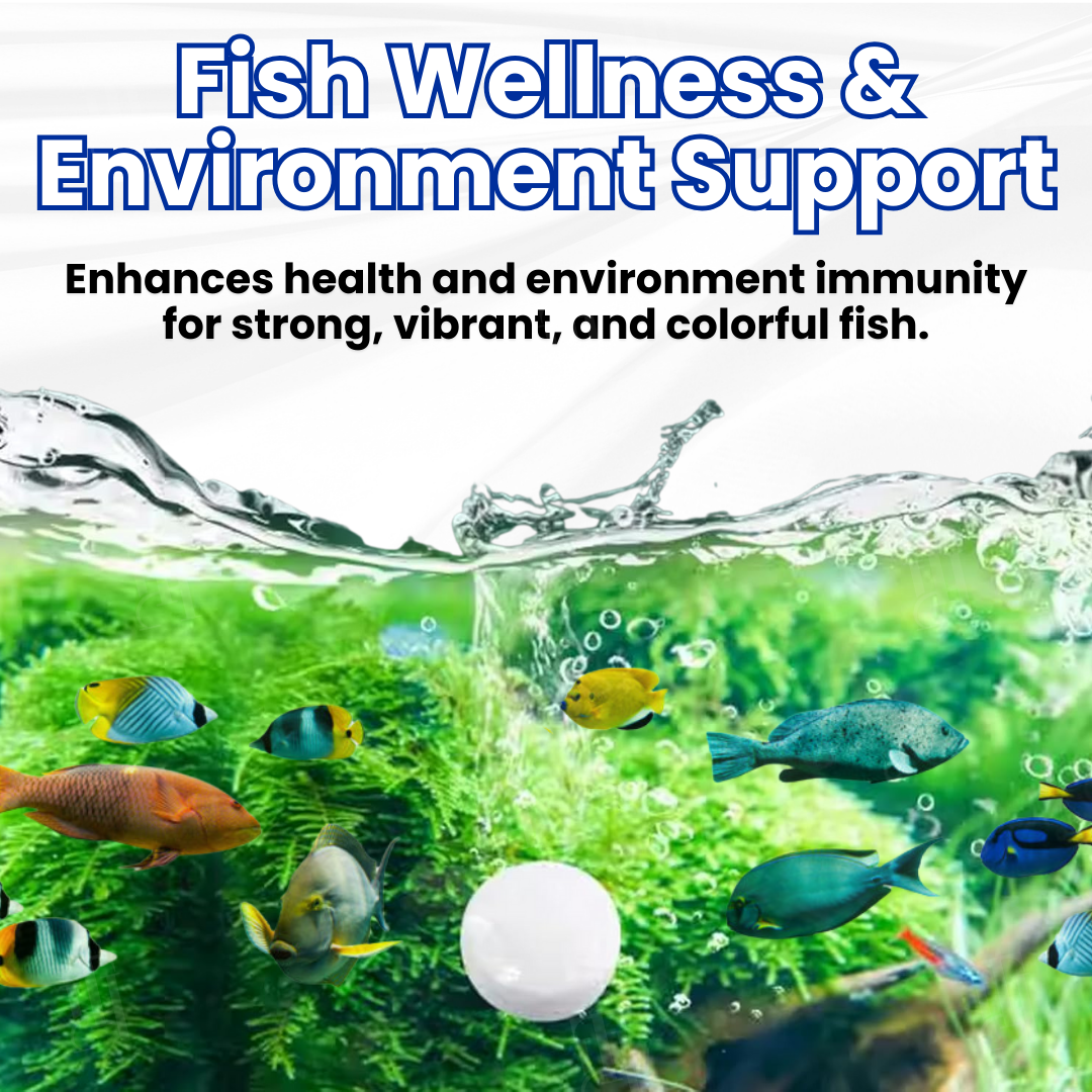 🐟AEXZR® Max-Power Aquarium Purification Tablet – ✨Creates Self-Cleaning Ecosystem✅