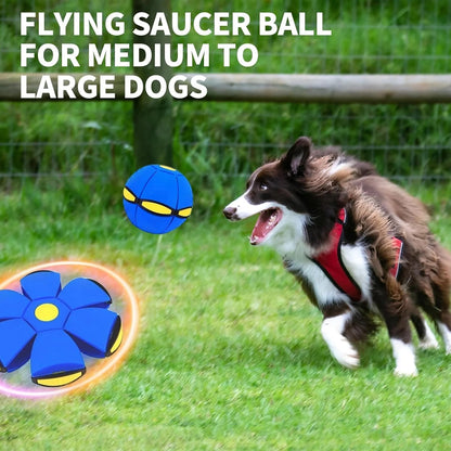 🔥Kids’ Magic Metaball — bouncy ball & flying saucer for family and pets🌈
